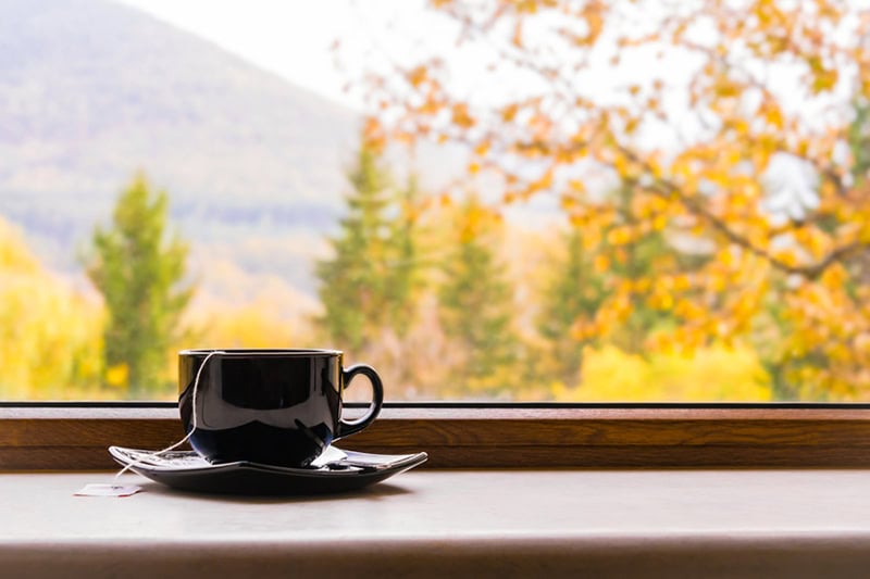 Why Do I Need a Humidifier in the Fall? Photo of a cup of tea in front of a window with an autumn view.