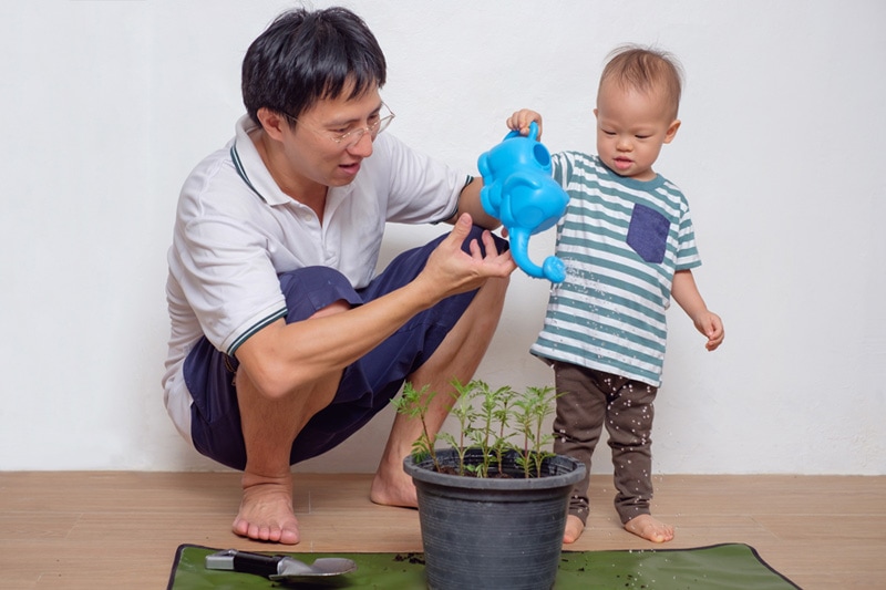 Blog Title: How to Go Green With Your HVAC System Photo: father and son watering plants