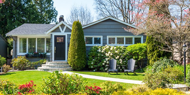 Blue House in the Spring and Summer