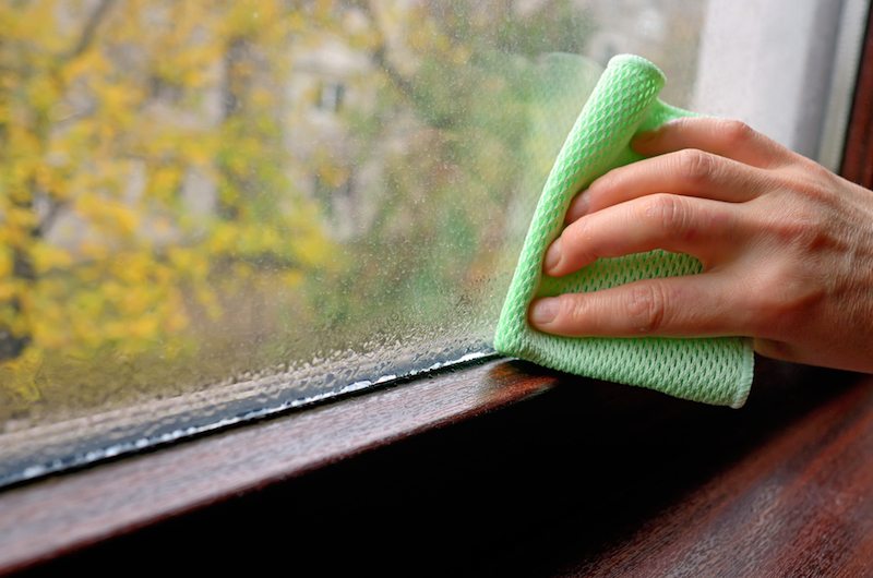 Water on the collecting on a window in a home that needs a dehumidifier.